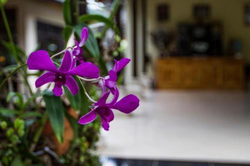 Ubud Tri Upasedana House 2 Тегаллаланг Экстерьер фото